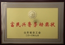 03富民兴鲁劳动奖状201009